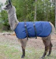 llama blanket